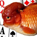 Blackjack beginner card counter beginner card counter